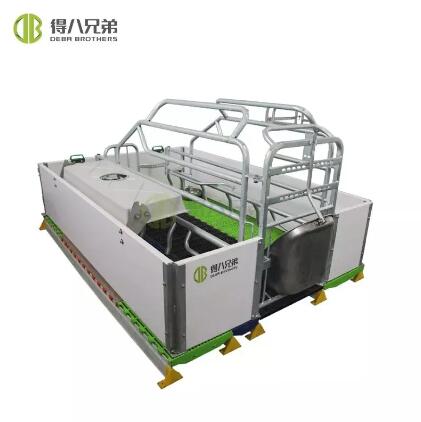 Maintaining Hygiene Excellence: Protocols and Maintenance for European-Style Farrowing Crates