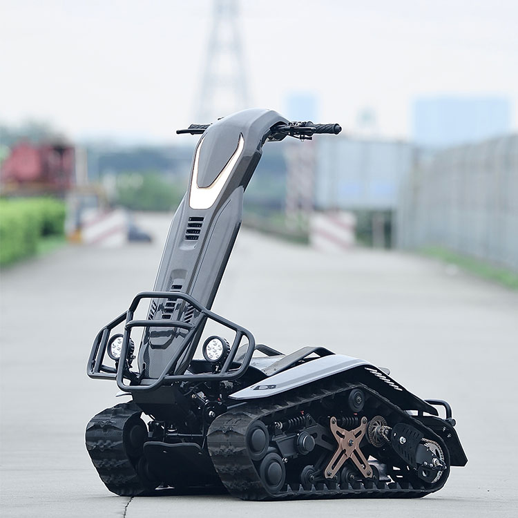 Customizing Electric Snowmobiles-Standing: Tailoring the Ultimate Winter Ride for Your Unique Needs