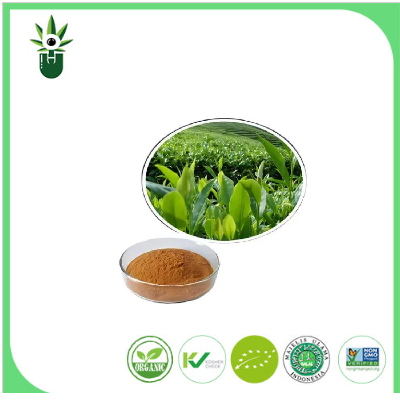 The Science Behind Natural Green Tea Extract 98% L: Research and Clinical Insights