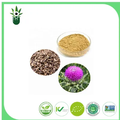 How Extraction Methods Impact the Quality and Potency of Milk Thistle Extract