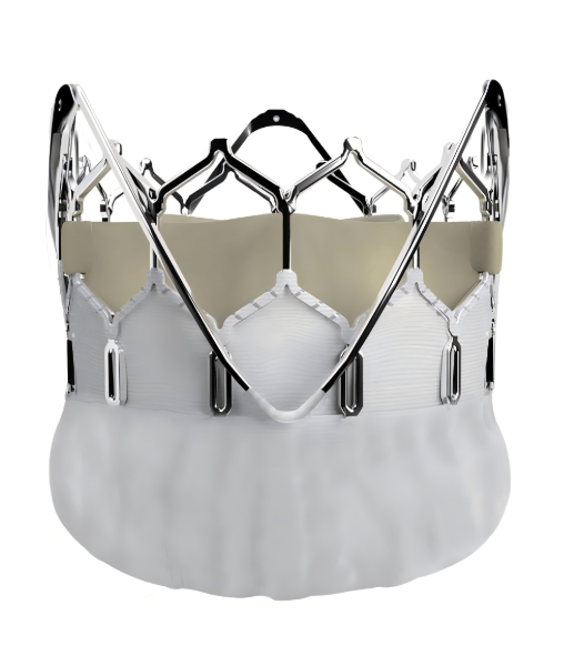 Professional Transcatheter Aortic Valve Replacement: Expert Care and Patient Guidance